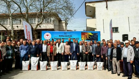 Bursa’da İrfaniyeli üreticilere ayçiçeği tohumu desteği