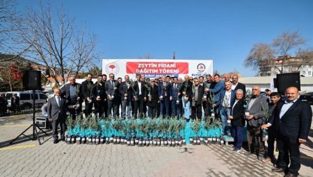 Denizli zeytinde kabuğunu kıracak