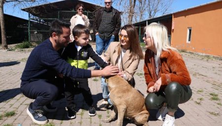 Gökhan Dinçer Mudanya’dan bu kez mesajı Ömür Gedik’le verdi