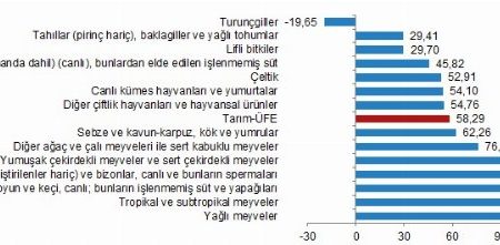 Tarım ürünleri yıllık ve aylık bazda arttı.. Yağlı meyveler yükselişte