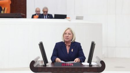 ‘Ne kadını koruyabiliyorlar ne de aileyi’