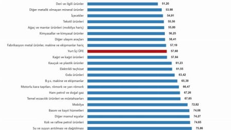 Yİ-ÜFE yıllık değişimde tütün ürünleri artışta