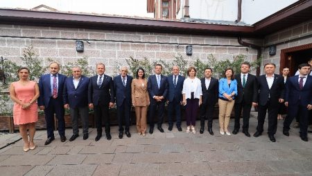 İmamoğlu: ‘Kısırlaştır-Aşıla-Yaşat’ politikası seferberlikle yönetilmelidir
