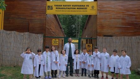 Kocaeli’de Ormanya’da ‘yaz’ başlıyor