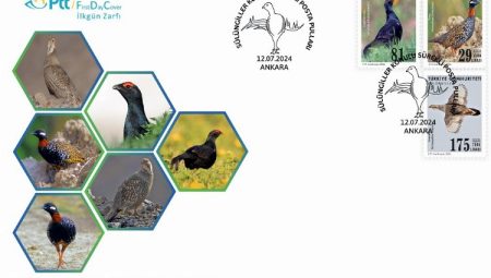 Sülüngiller’e özel zarf