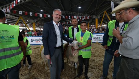 Küçükbaş Hayvancılık Festivali için geri sayım başladı