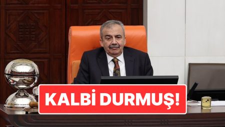 DEM Parti İstanbul Milletvekili Sırrı Süreyya Lider Kalp Krizi Geçirdi