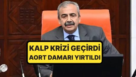 Kalp Krizi Geçirmişti: Sırrı Süreyya Öncü’nün Son Durumu Açıklandı