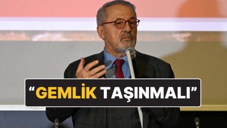 Naci Görür Açıklamıştı: Marmara Zelzelesinden En Fazla Etkilenecek İlçe Hangisi?