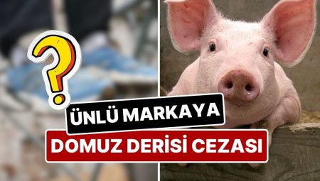 New Balance Modellerinde ‘Domuz Derisi’ Kullanınca Rekabet Kurumu’ndan Ceza Geldi!