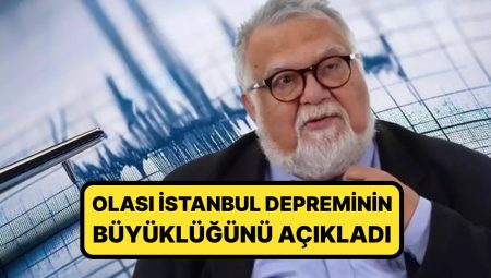 Prof. Dr. Celal Şengör Mümkün İstanbul Zelzelesinin Büyüklüğünü Açıkladı: ”Avcılar ve Yeşilköy Topun Ağzında”