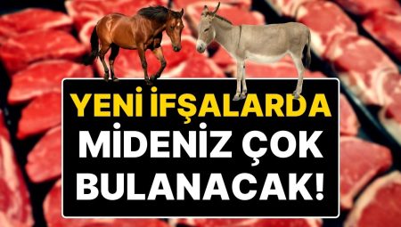 Yeni Markalar, Yeni İfşalar, Yeni Skandallar: Et Diye At Eti ve Eşek Eti Yediren Firmalar İfşa Edildi