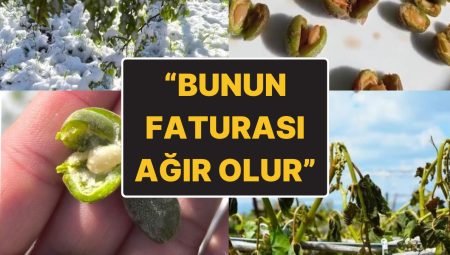 Zirai Don Felaketi: Ali Ekber Yıldırım’ın Paylaşımına Gelen Yorumlar Tehlikenin Boyutunu Ortaya Çıkardı