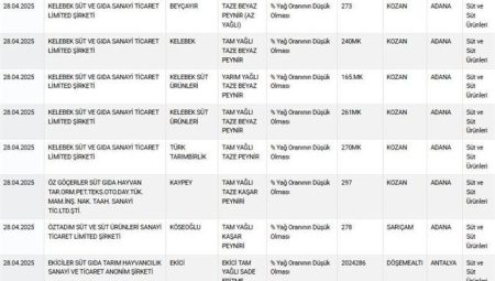 Ünlü peynir markasının ifşa olmasıyla gündeme geldi! Süt eserlerinde bilinmeyen hile – Düzgün Haber