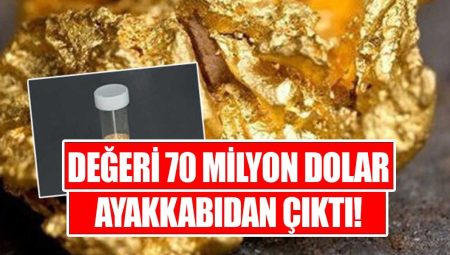 Aracında 70 Milyon Dolarlık Kaliforniyum Unsuru Bulunulan Şoförden Skandal Savunma: “Yolda Buldum”