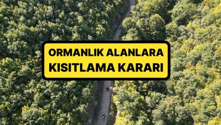 Bu Haberi Okumadan Pikniğe Gitmeyin! İstanbul Valiliği Açıkladı: Ormanlara Girişler Yasaklandı