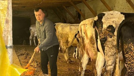 5 büyükbaş hayvanı 86’ya çıkardı – Düzgün Haber