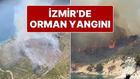 İzmir Karaburun’da Orman Yangını: Karadan ve Havadan Müdahale Ediliyor