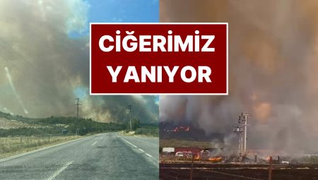 İzmir’de Orman Yangını: Meskenler Tahliye Edildi! Belediye Liderinden Açıklama: “Çok Üzgünüz”