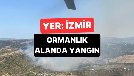 İzmir’de Ormanlık Alanda Yangın Çıktı: Söndürme Çalışmaları Sürüyor