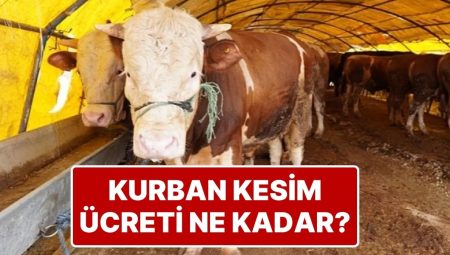 Kurban Bayramı’nda Kurban Kesme Fiyatları Cep Yakıyor: Bıçak Parası 10 Bin TL