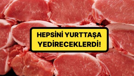 Meskene Yapılan Baskında 2.5 Ton At Eti Ele Geçirildi: Yurttaşa Yedireceklerdi!