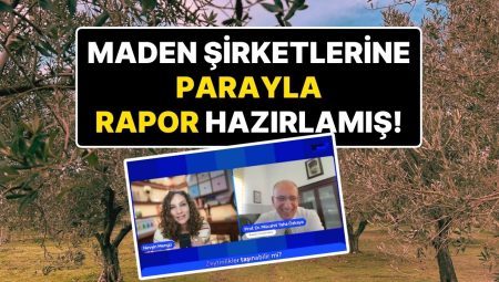 Nevşin Mengü’nün Yayınında ‘Zeytin Taşınır’ Demişti: Maden Şirketlerine Parayla Rapor Hazırlamış!