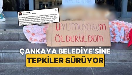 Sokak Köpeğinin Mevti Hayvanseverleri Harekete Geçirdi: Çankaya Belediyesi Önünde Protesto