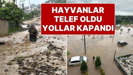 Trabzon’da Sağanak Yağmur Hayatı Felç Etti: Yollar Göle Döndü, Karadeniz Kıyı Yolu Kapandı
