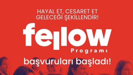 Türkiye Girişimcilik Vakfı Fellow Programı Müracaatları Başladı