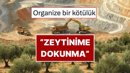 Zeytinliklerde Madenciliğin Önünü Açan Kanun Teklifinin Kabul Edilmesine Reaksiyon Yağdı