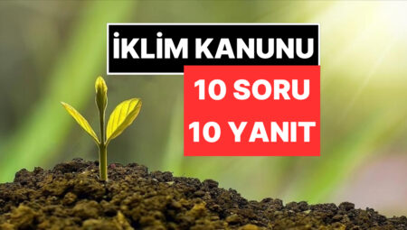 10 Soruda İklim Kanunu’na Dair Merak Edilenler: Tabiat Talanı mı Doğayı Muhafaza mı?