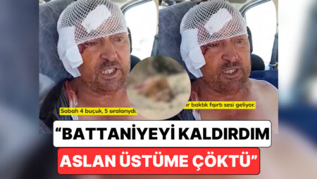 Antalya’da Hayvanat Bahçesinden Kaçan Aslanın Saldırısına Uğrayan Bahtsız Adam Yaşadıklarını Anlattı