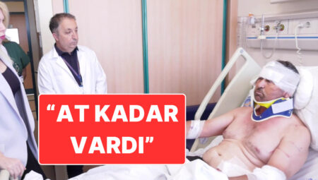 Aslanla Boğuşan Süleyman Kır Olay Anını Anlattı: “At Kadar Vardı”