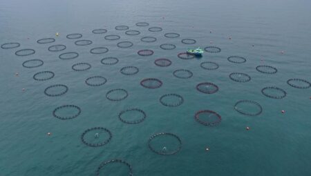 Doğu Karadeniz’in 4 aylık su eserleri ihracatı 47,8 milyon doları aştı – Düzgün Haber