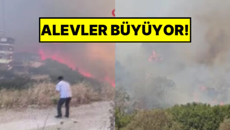 Hatay’da Çıkan Orman Yangınında Konutlar Ziyan Görmeye Başladı: Vatandaşlar Kuvvetli Anlar Yaşıyor