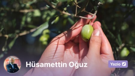 Kaz Dağlarının Zeytin Kıssası: #ZeytinimeDokunma