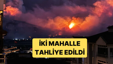 Sakarya’daki Yangın Yerleşim Yerleri ve Tarım Yerlerine Sıçradı
