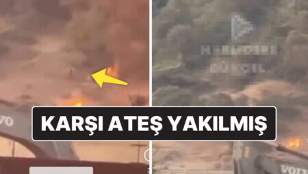 Türkiye’de Birçok Bölgede Orman Yangını: OGM “Çakmakla Yangın Bilerek Çıkarıldı” Tezini Yalanladı