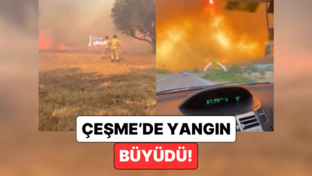 Yangın Yerleşim Yerlerine Ulaştı: Çeşme ve Urla’da Yaşanan Yangın Felaketinden Acı İmgeler Geldi