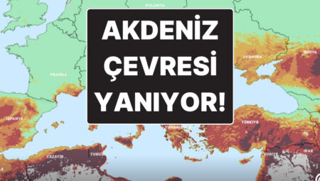 Akdeniz Etrafında Tehlike Büyük: Türkiye’de Orman Yangınları İçin En Riskli Bölgeler Aşikâr Oldu