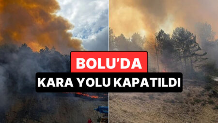 Bolu Orman Yangınında Son Durum: Kara Yolu Ulaşıma Kapatıldı
