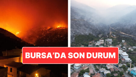 Bursa’da Orman Yangını: Yangının Acı Boyutu Dün Ağarınca Ortaya Çıktı