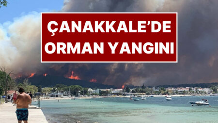 Çanakkale’de Orman Yangını: Gökyüzü ve Deniz Kara Dumanlarla Kaplandı! Vali’den Korkutan Açıklama Geldi