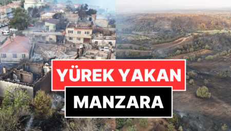 Çanakkale’deki Orman Yangınının Boyutu Gün Ağarınca Ortaya Çıktı