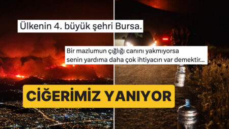 Ciğeri Yanan Vatandaşlarımızdan Günlerdir Süren Yangınlara Reaksiyonlar Dinmiyor