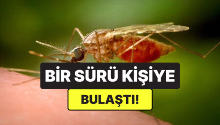 Çin’de Yeni Salgın Alarmı: Sivrisinek Kaynaklı Chikungunya Virüsü Yayılıyor