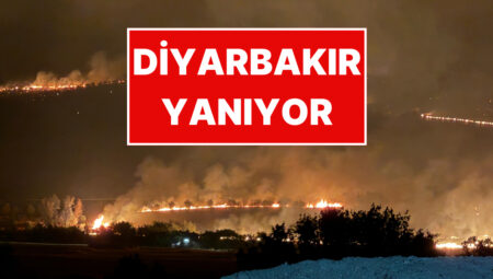 Diyarbakır’da Orman Yangını: İmgeler Yangının Boyutunu Gözler Önüne Serdi
