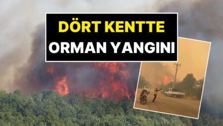 Dört Kentte Orman Yangını: Yangından İmgeler Yürekleri Ağza Getirdi!