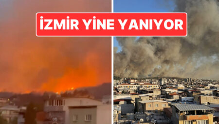 İzmir Buca’da Orman Yangını: Minibüste Çıkan Yangın Ormana Sıçradı